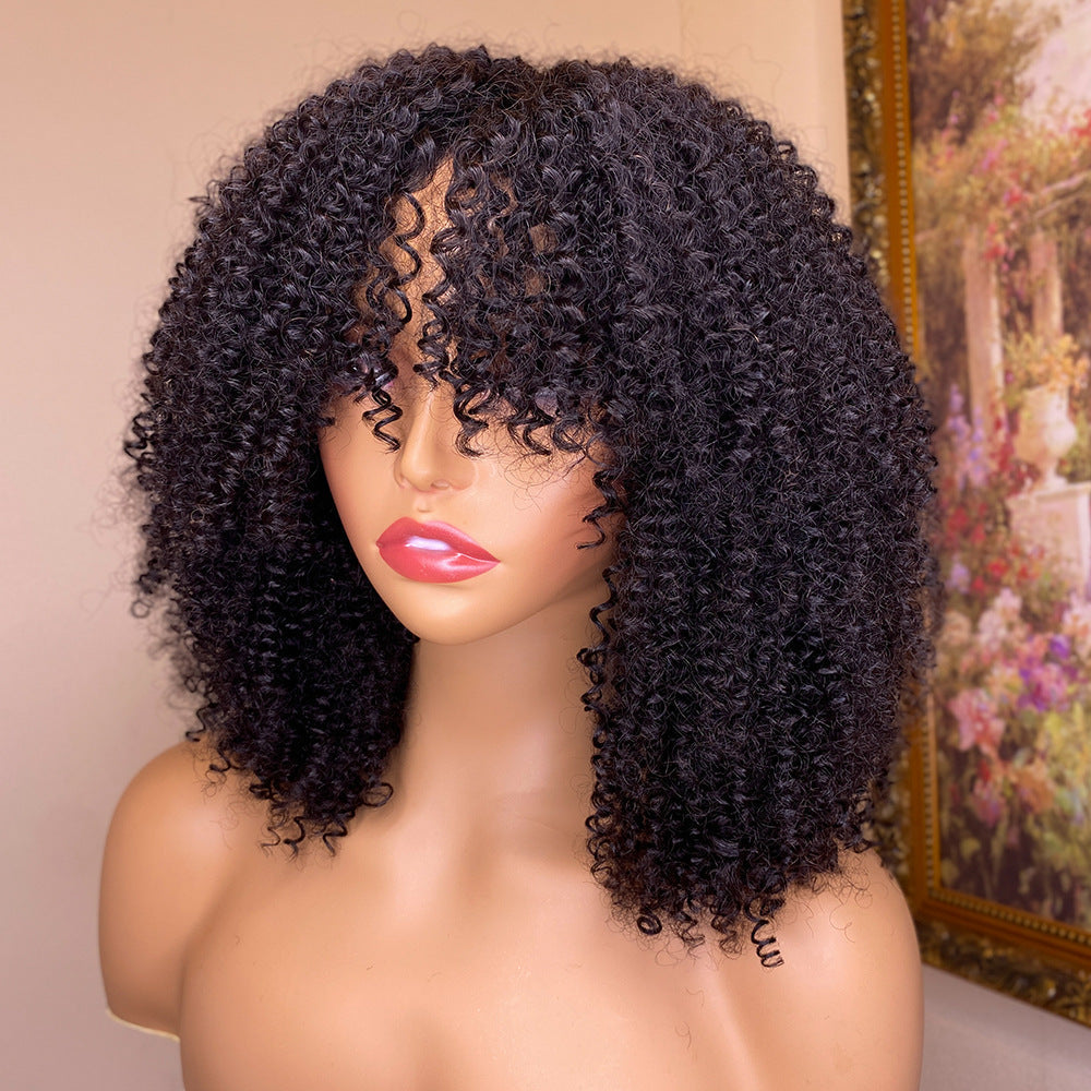 Human Hair Wigs & Extensions